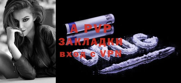 дмт Богданович