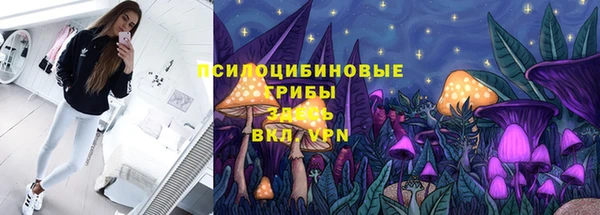 дмт Богданович