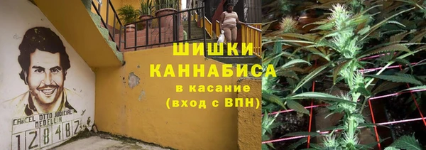 дмт Богданович