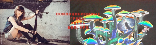 скорость Богородицк