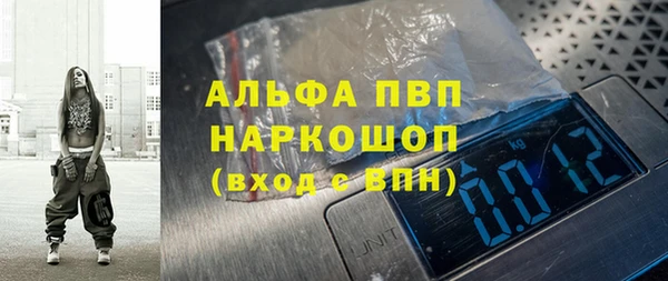 дмт Богданович