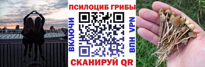 Галлюциногенные грибы Magic Shrooms  Карталы 